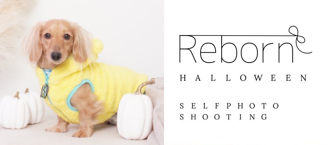 ペット撮影可能な北海道小樽のセルフ写真館REBORN-りぼん-